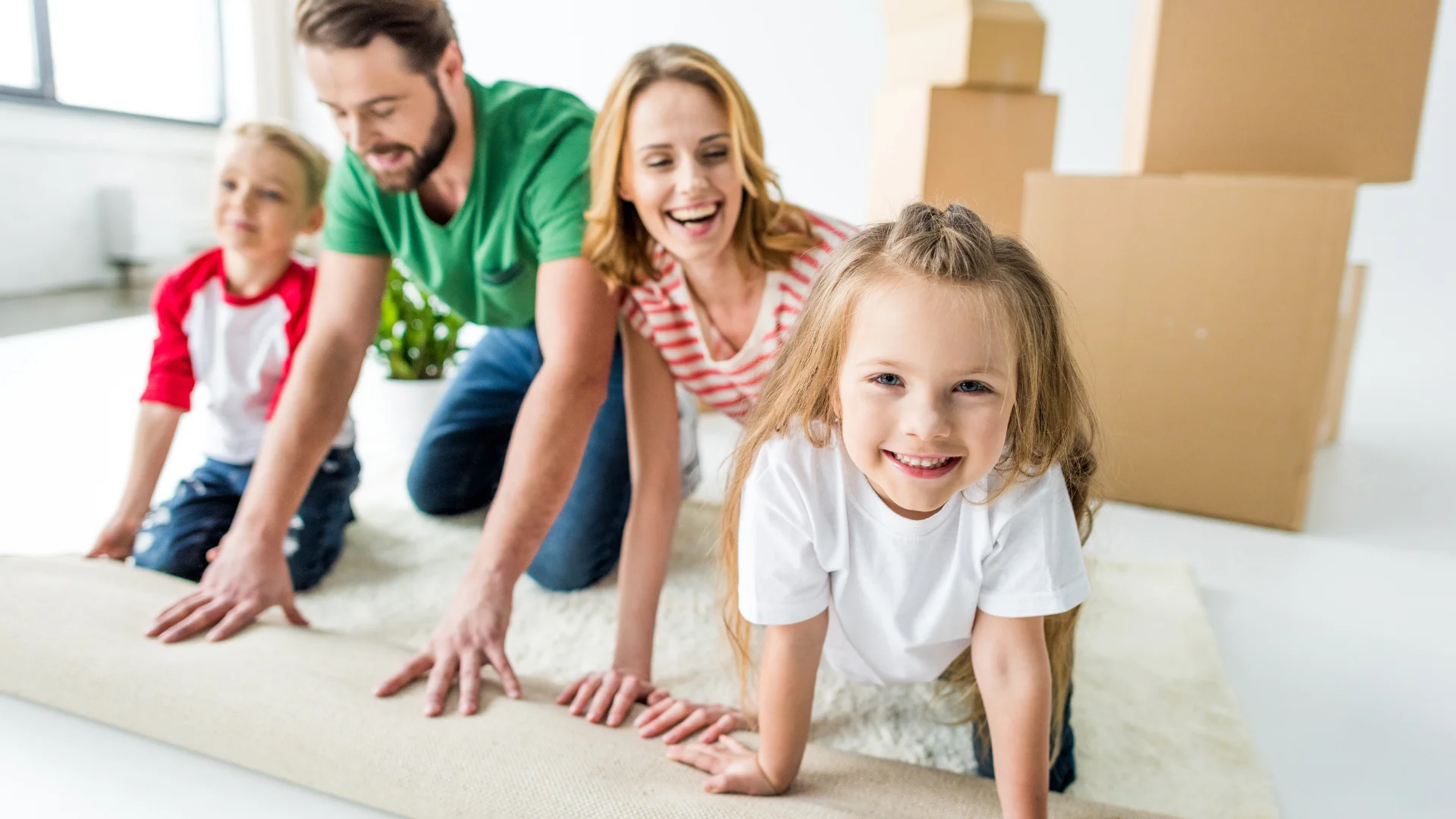 Carpet Cleaning