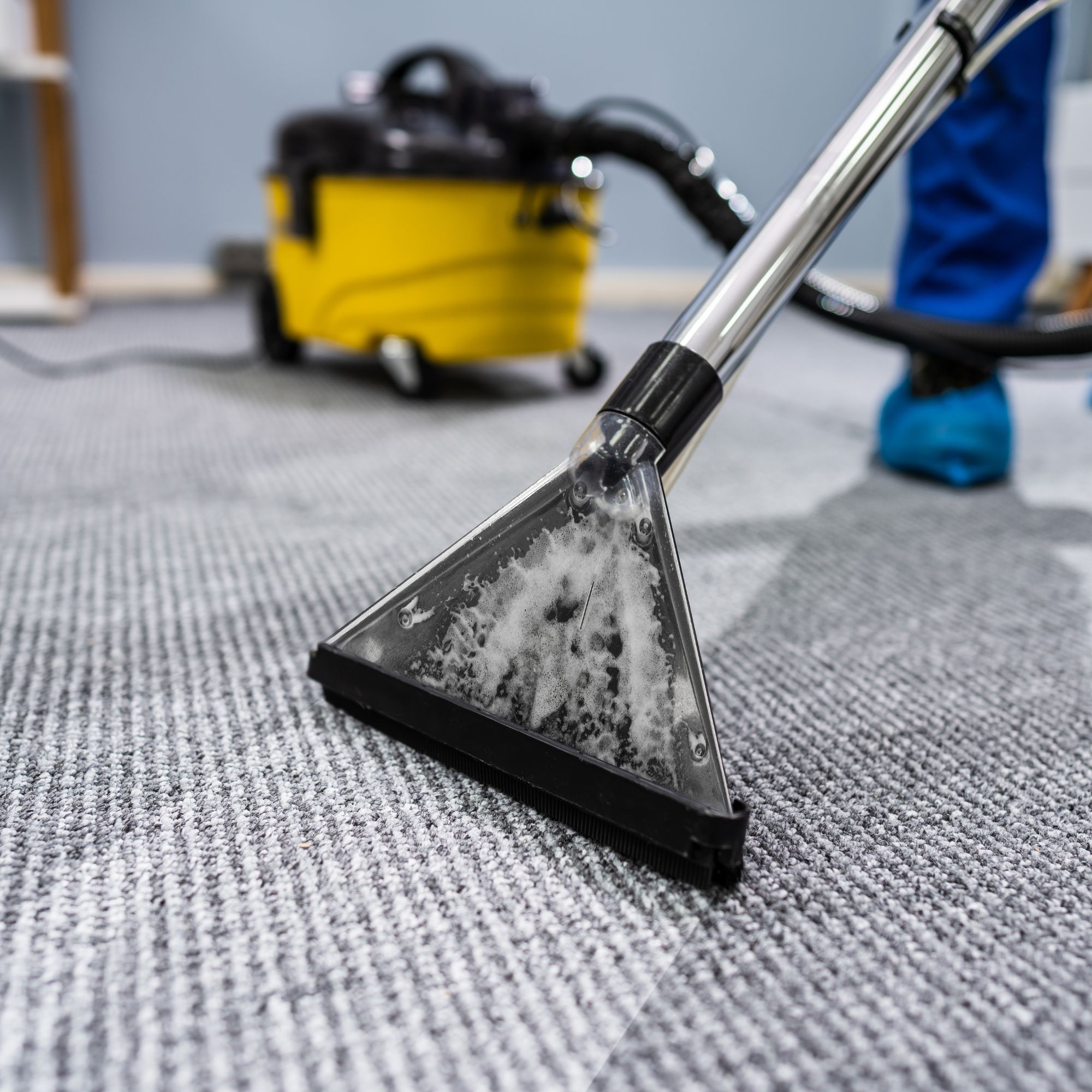 carpet cleaning services