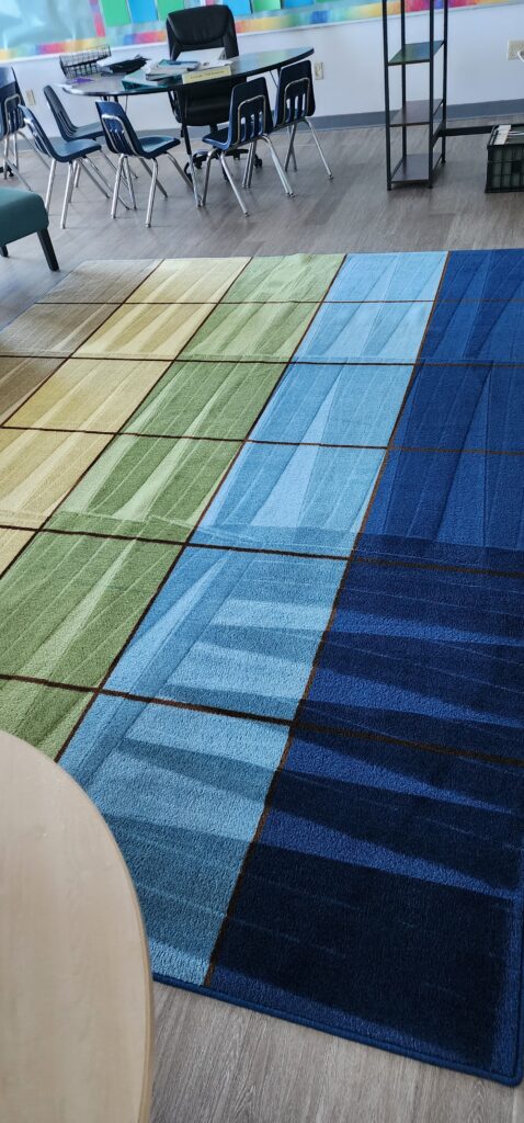 Rug Cleaning