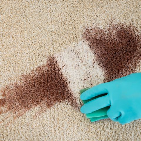 Home 3 Rug Cleaning Service