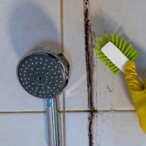 Tile Grout Cleaning Company